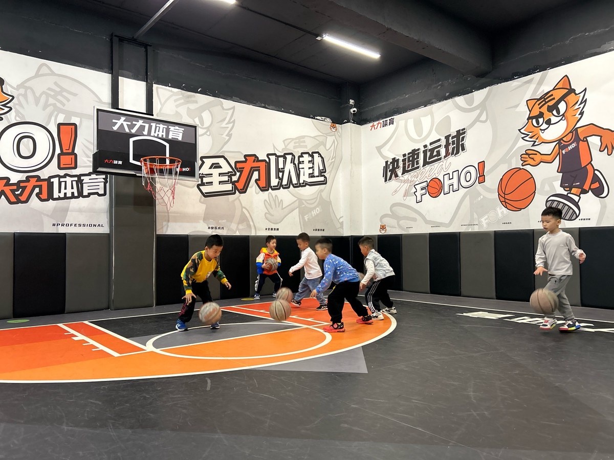 篮球训练营场地布置图片